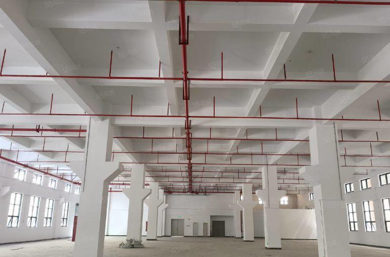 8元厂房低价出租免租6个月