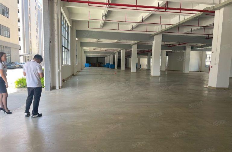 惠环原房东一楼标准厂房1000平，空地大，好进大车