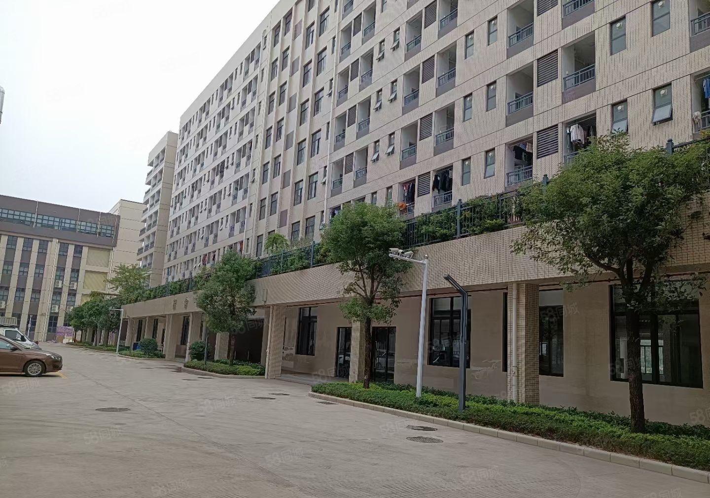 仲恺陈江可做喷油或电池园区厂房