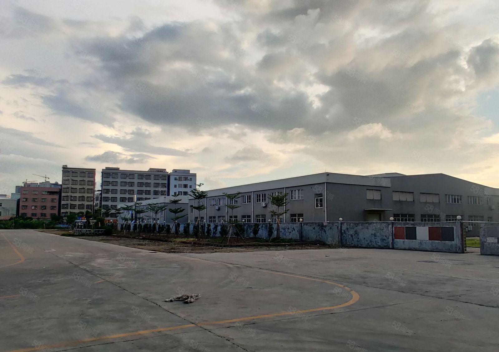 惠州仲恺原房东独院红本厂房35层3600平方豪华装修