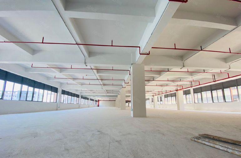 仲恺全新标准厂房出租