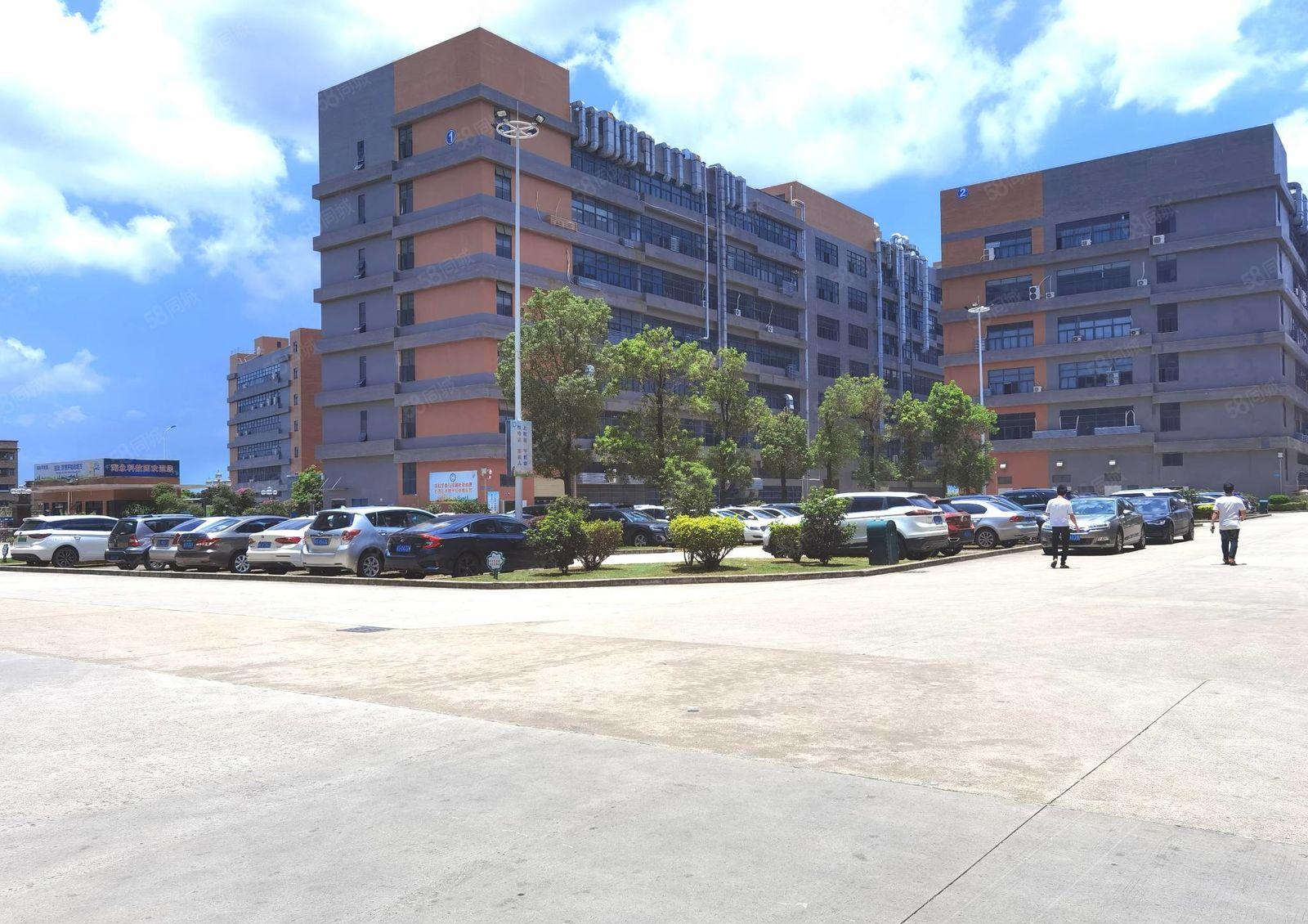 500平起租惠州陈江原房东一楼2000平厂房适合注塑设备