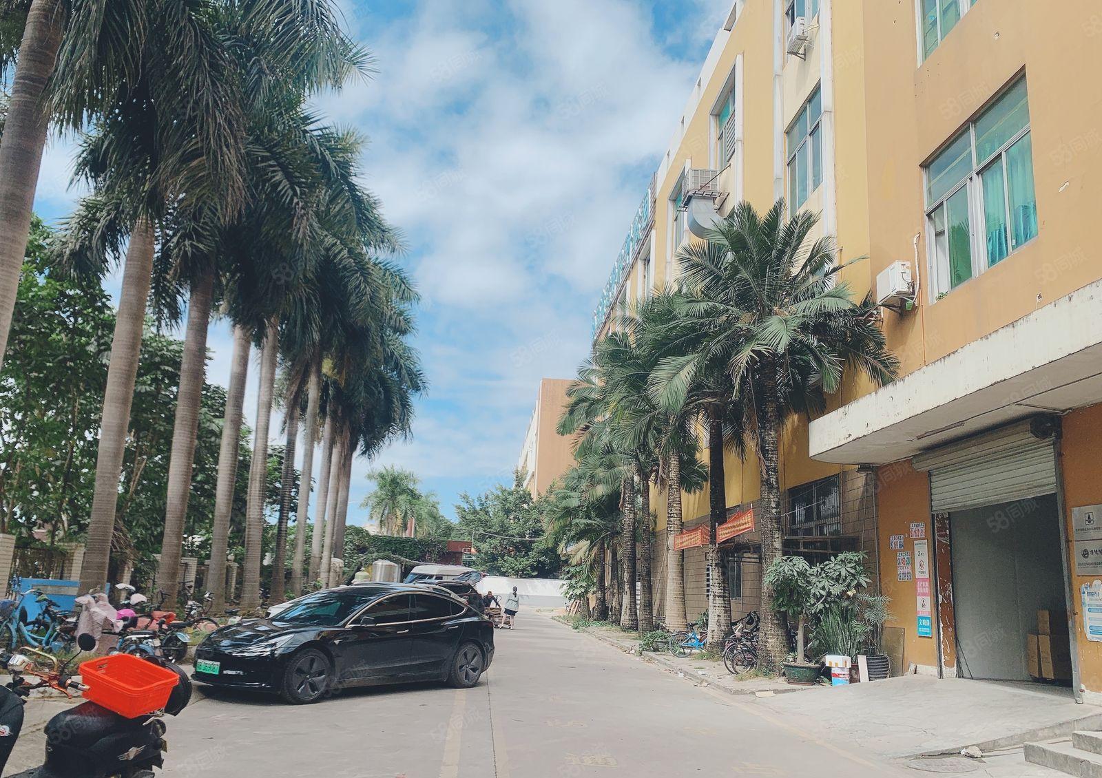 仲恺陈江独门独院一楼1500平高6米原房东仓库厂房出租200