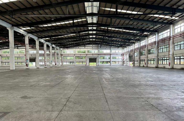 惠州市 陈江镇 单一层钢构16000平独门独院滴水12米