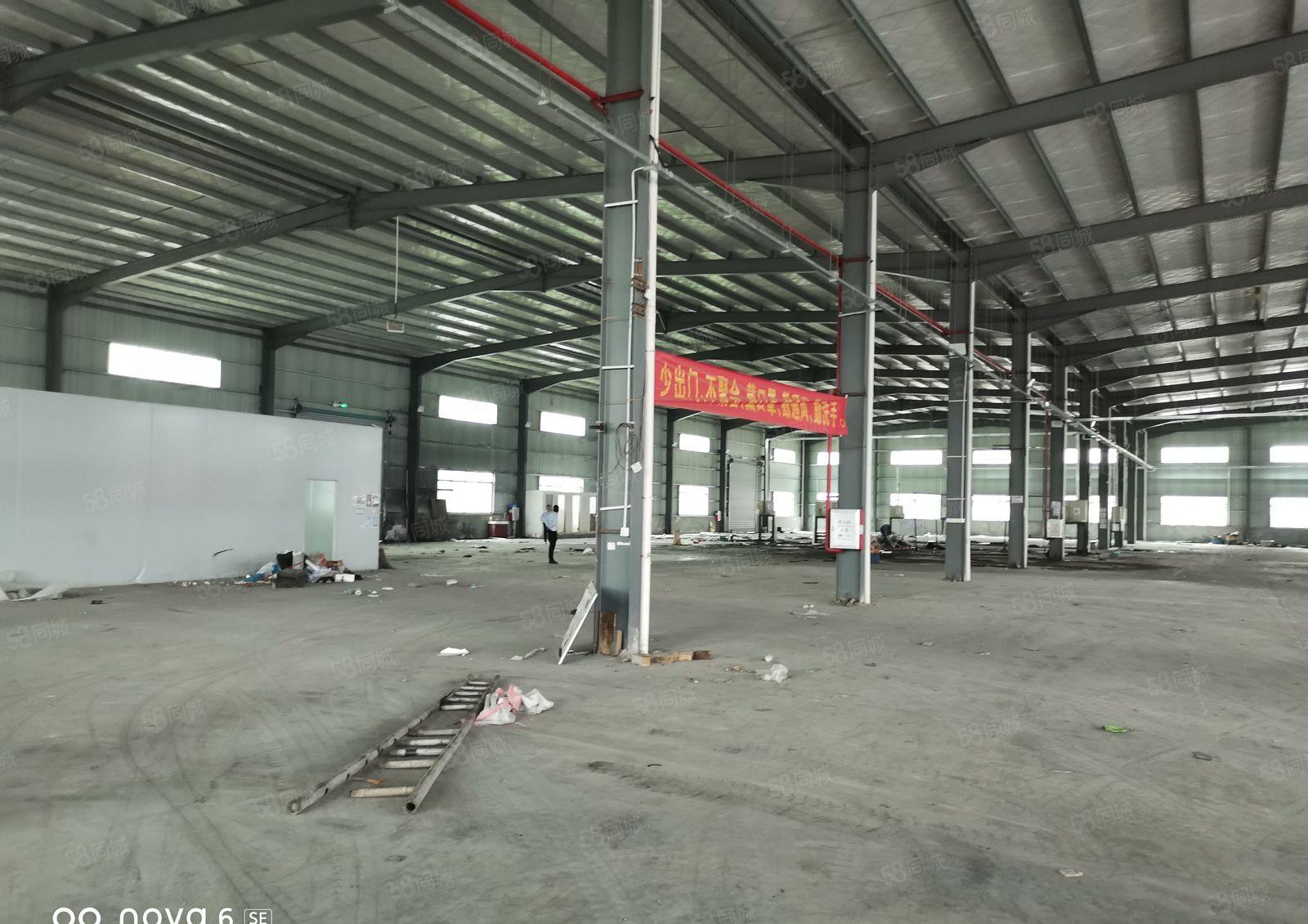 仲恺高新区主干道旁6300滴水9m的独栋钢构厂房出租