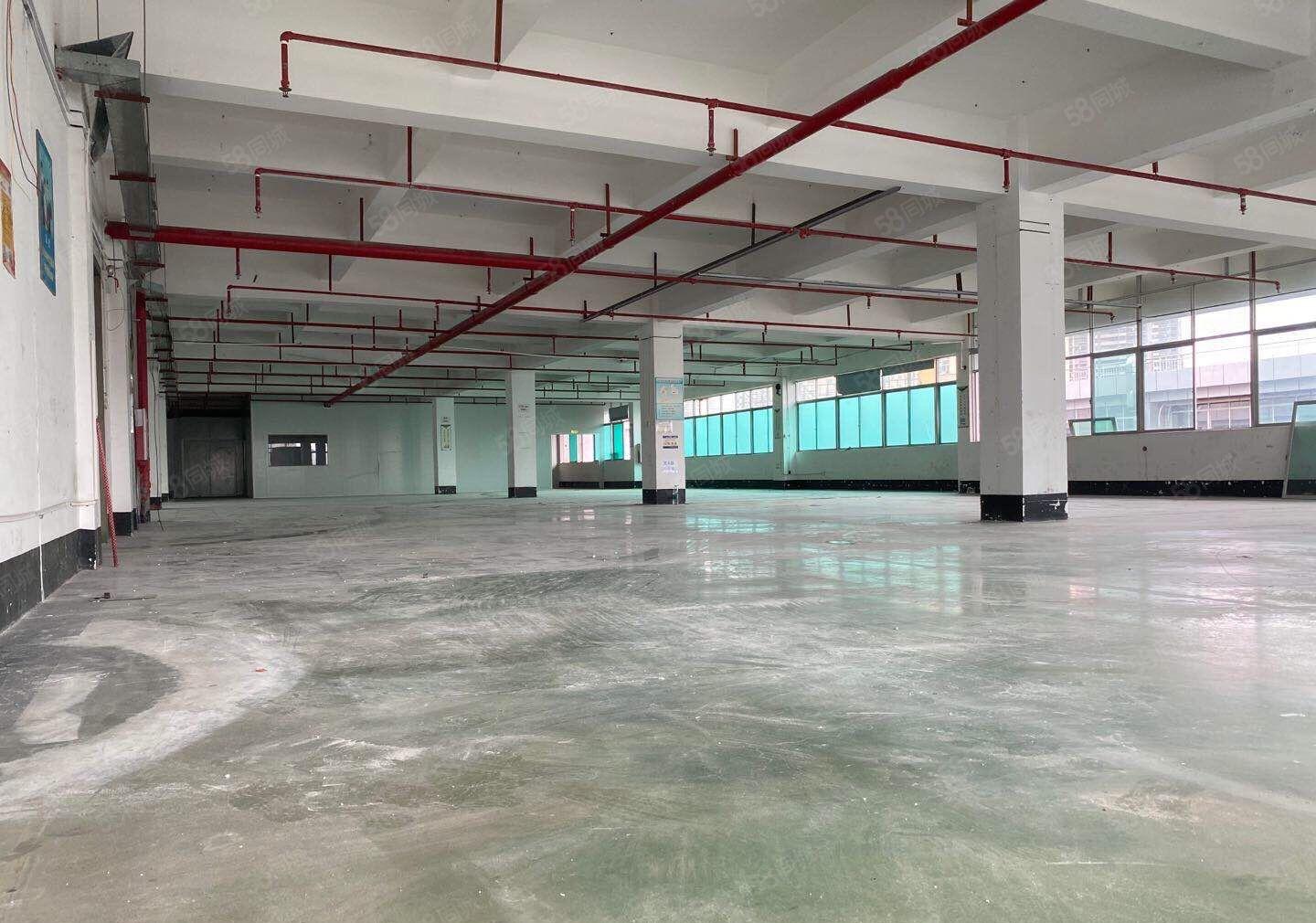 仲恺惠环工业园三楼1560平方带装修厂房可分租660平方