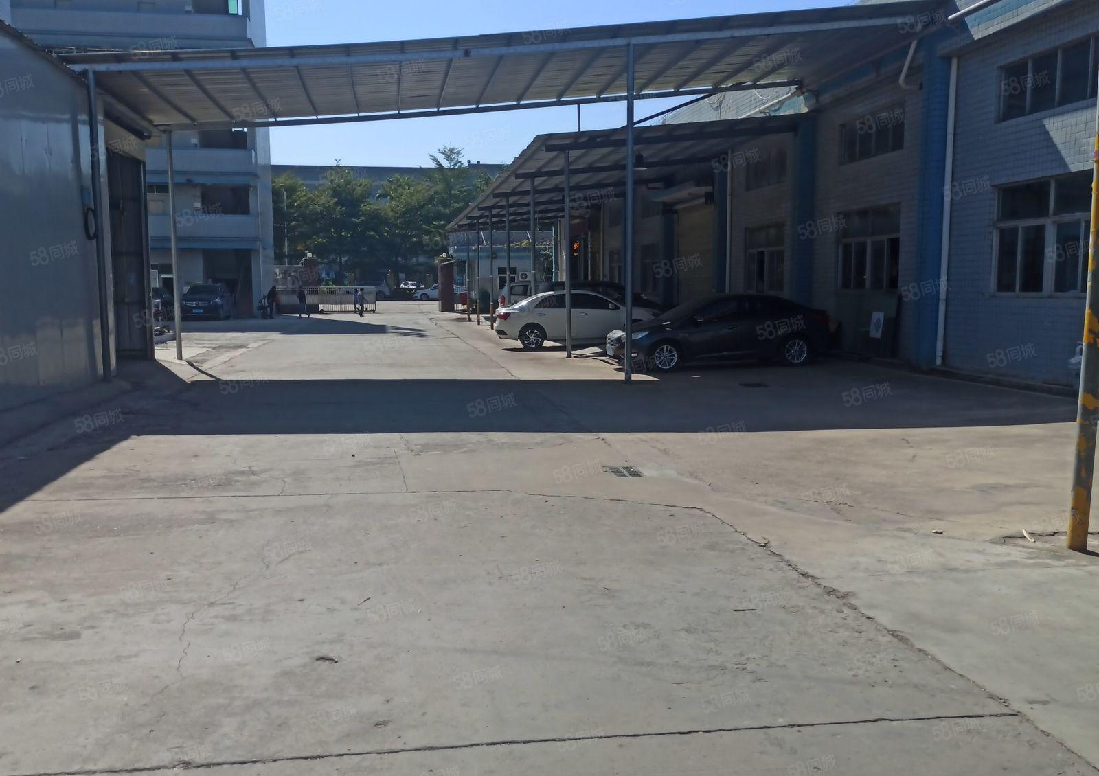 陈江五一工业区单一层厂房1050平方，滴水高度6米可分租。