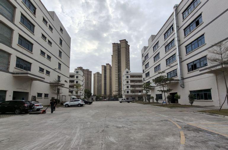 仲恺潼桥1100平方带装修办公室全新红本厂房仓库出租可分租