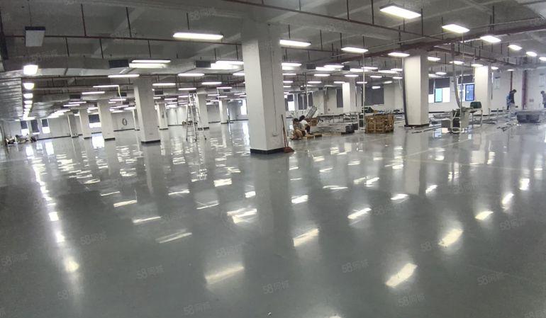 9元现成精装修低价红本厂房出租惠州仲恺高速口旁可办环评与执照