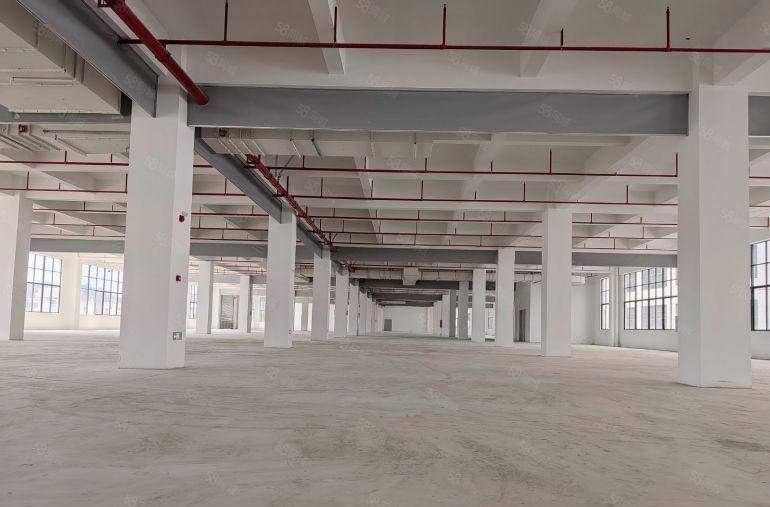 独门独院原房东全新厂房出租，惠州市仲恺高新区，可分独院