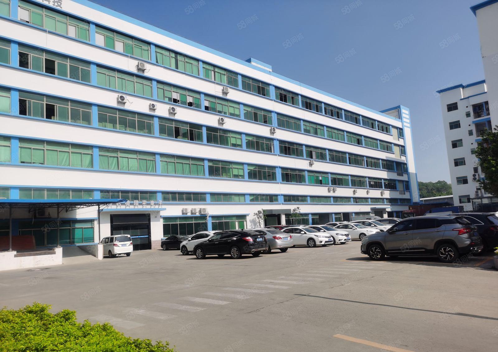 仲恺TCL附近新空出带牛角一楼厂房1600平米！可分租一半