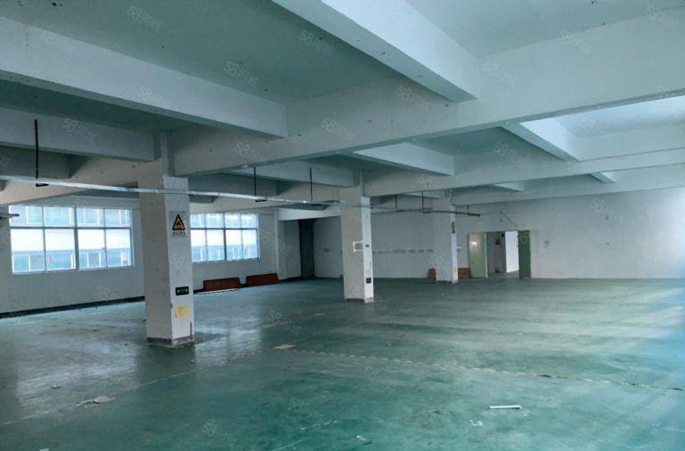 沥林8元厂房，1000平现成装修，原房东厂房出租，不限行业