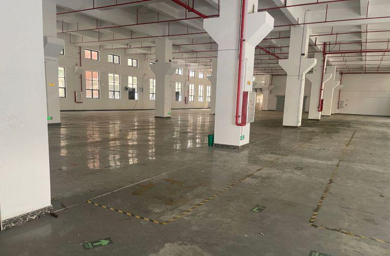 陈江平南原房东标准一楼7米高带牛角可分租500平方现房