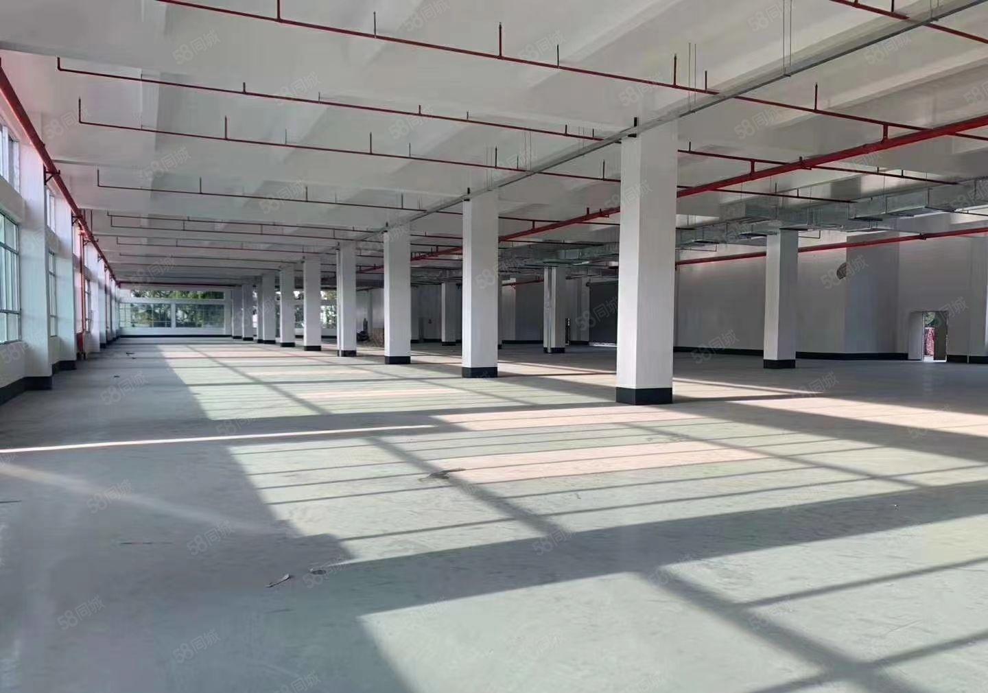 惠州市仲恺德赛高新区全新标准厂房65000方招租