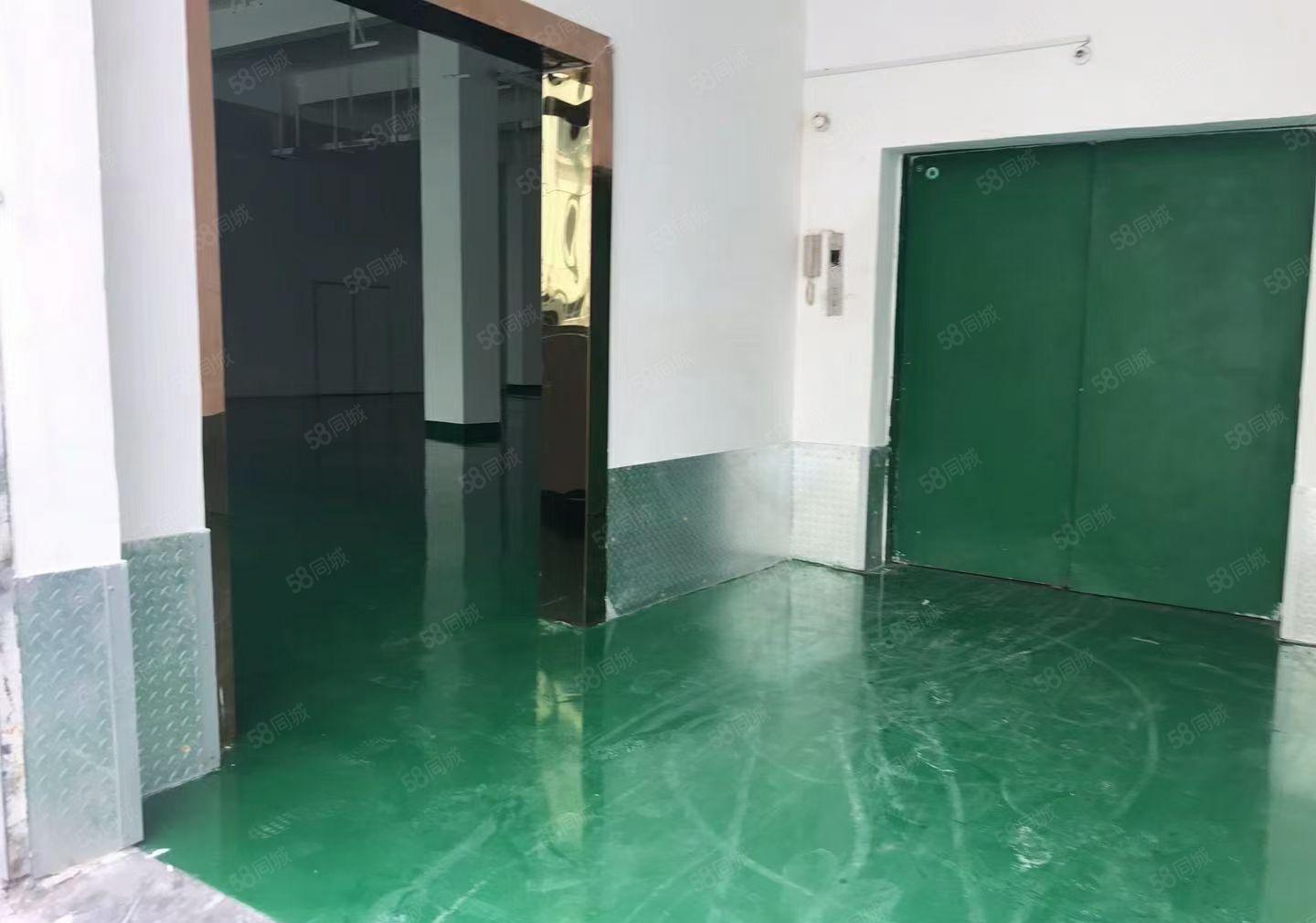 仲恺沥淋原房东1500一楼高6米1000仓库厂房出租200起