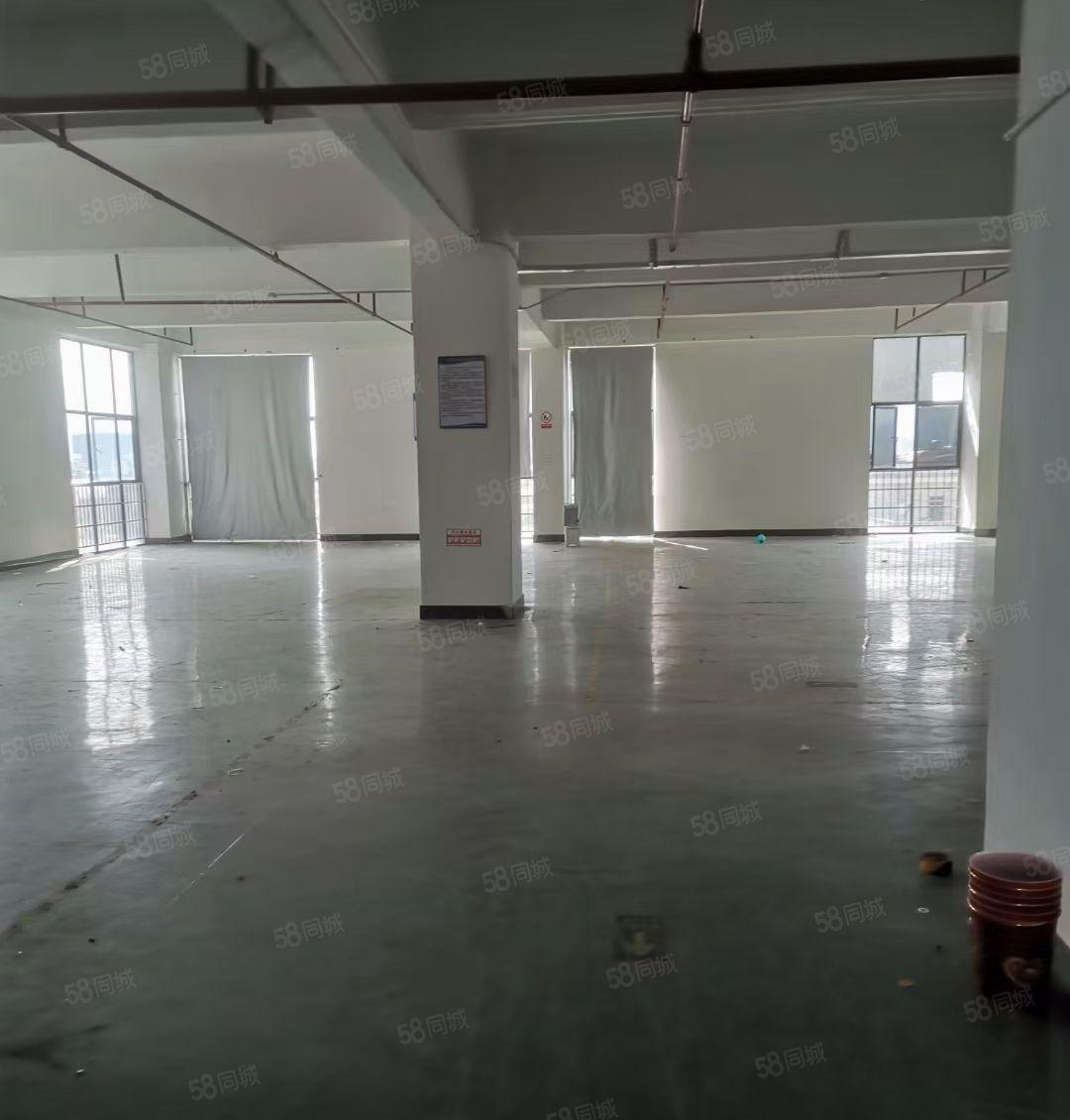 仲恺高新区惠环标准厂房6300平可以分租