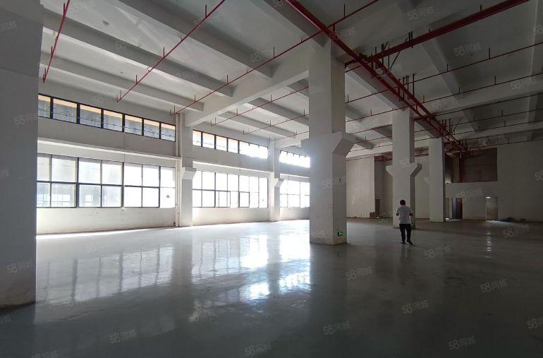 10元一楼厂房出租 1100平方带牛角位层高7米水电已到车间