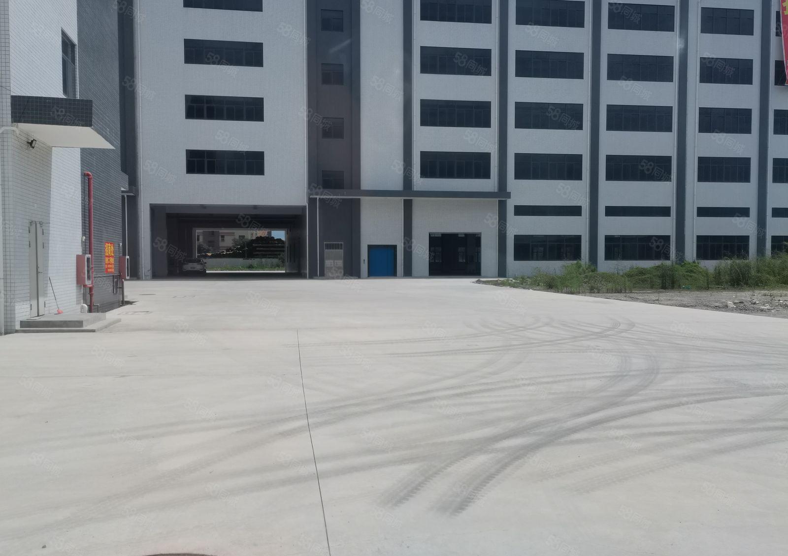 仲恺高新科技园全新12000平米厂房仓库出租可办环评大小分租