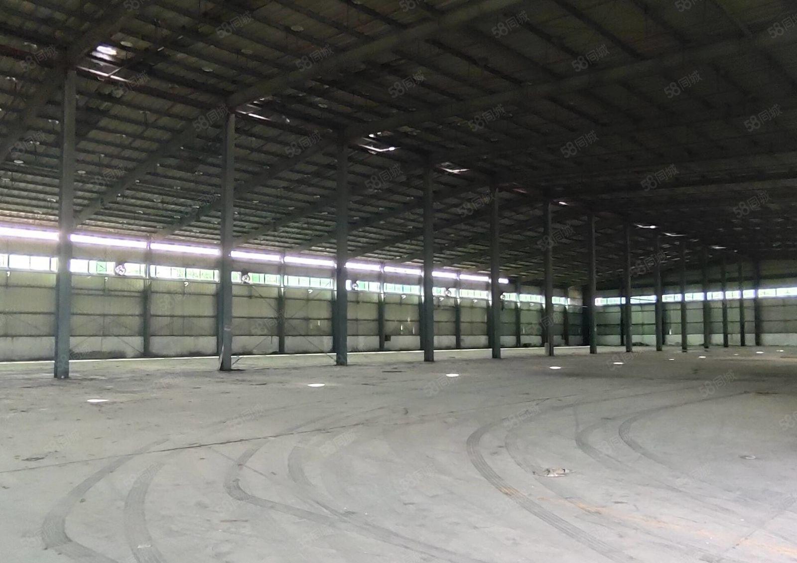 沥林镇一手房东出租8米高钢构厂房1600平，可分租