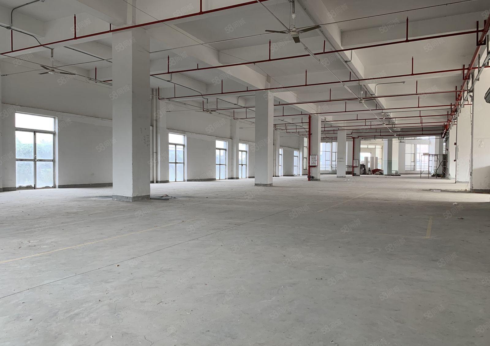 (10元)仲恺高新区红本厂房2000平形象好可申请补贴