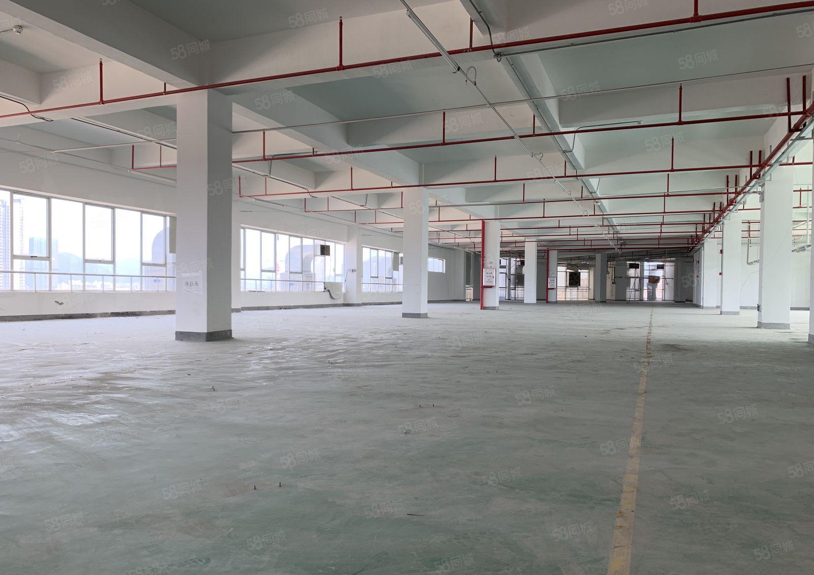 (10元)仲恺高新区红本厂房2000平形象好可申请补贴