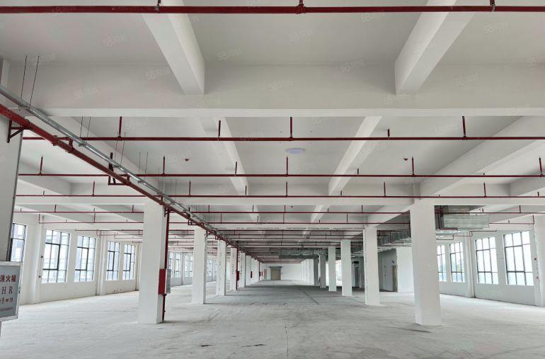 仲恺陈江五一新出楼上3000平原房东无公摊特价出租500平起