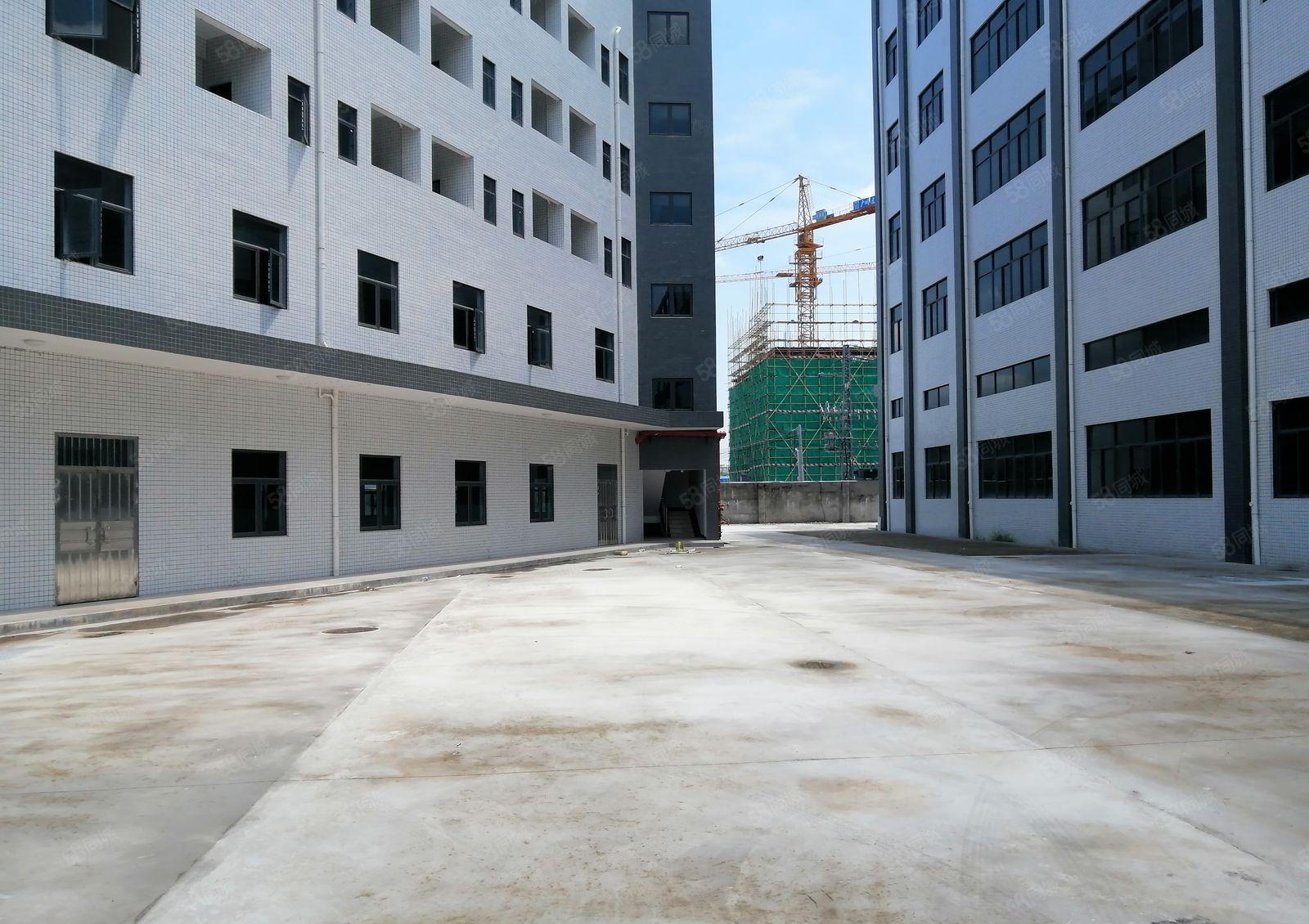 陈江万盛兴工业园78000平一手房东招租，可分租一楼层高6米