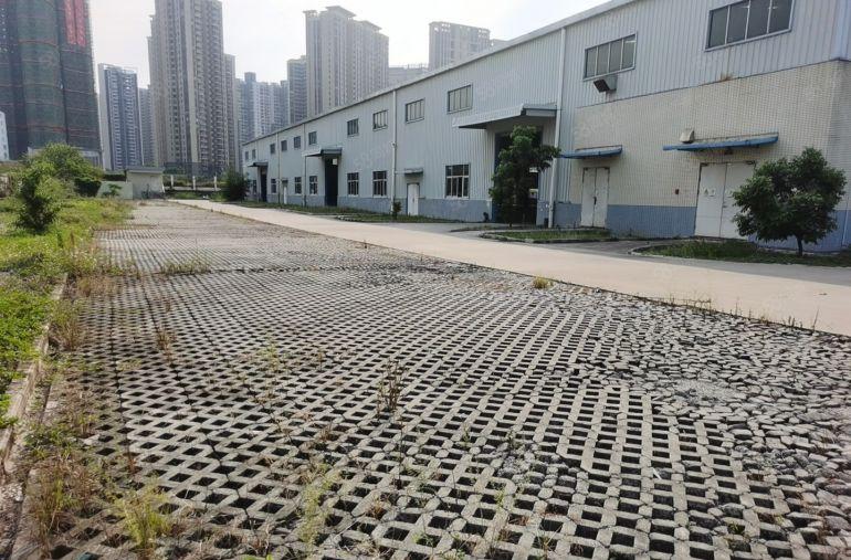 仲恺陈江钢结构厂房仓库5000平低价15块出租，滴水10米。