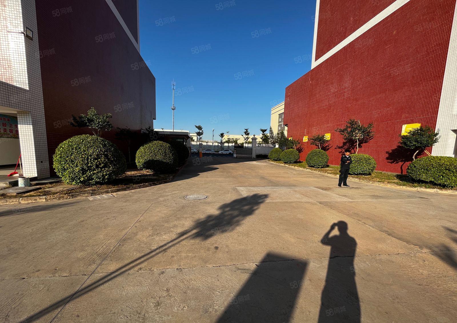 仲恺龙旗工业园旁边独院厂房8930平方低价出租可办环评