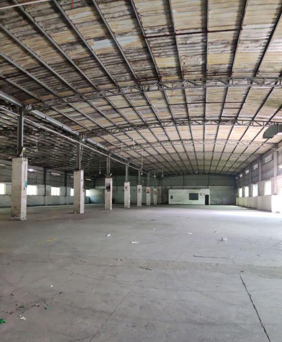 仲恺惠环单一层钢结构总面积2300平方 可分租一格250平方