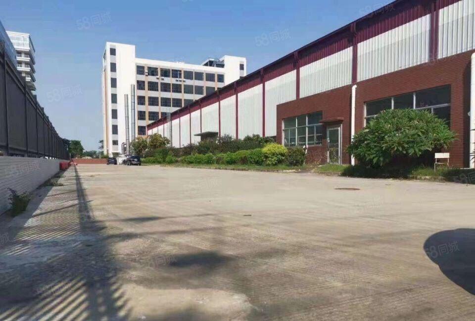 高10米仲恺TCL靠近四环路独院钢构15600方600方起分