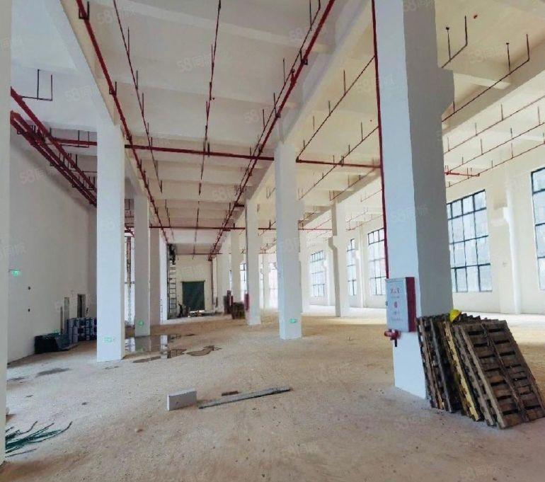 6元全新厂房出租，大小可分，原房东无公摊，不限行业