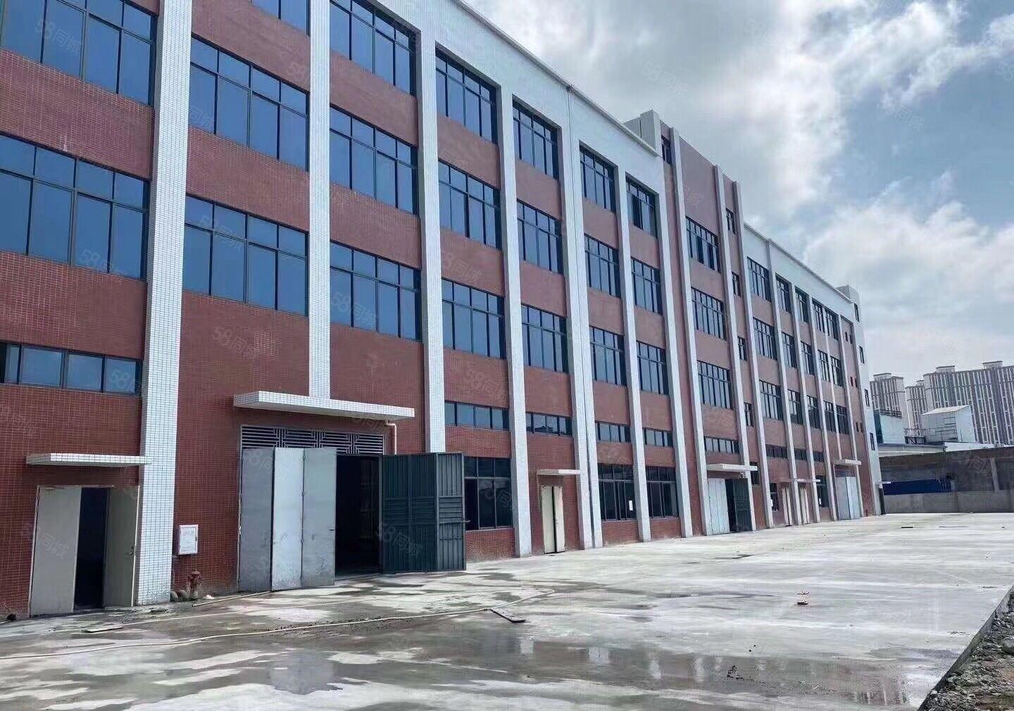 仲恺平南工业区新空出一楼标准厂房1200平方7米高带牛角