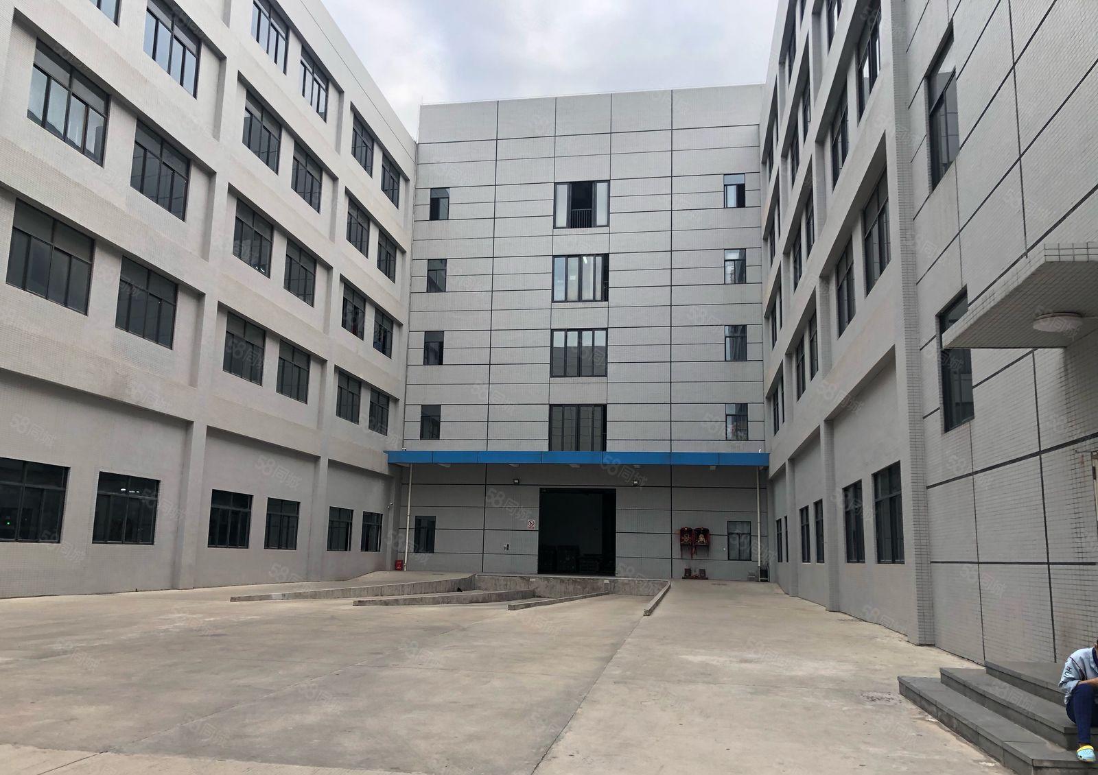 仲恺惠环工业园三楼1560平方带装修厂房可分租660平方