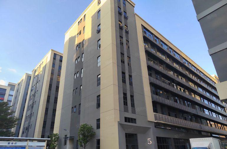 仲恺高新区陈江原房东直租低价可环评红本厂房牛角大小可分无公摊