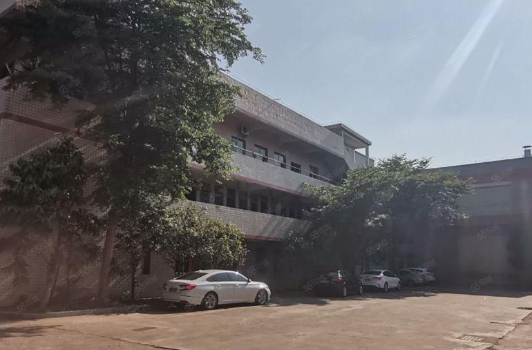 500平方起租陈江主干道旁原房东独门独院花园式厂房