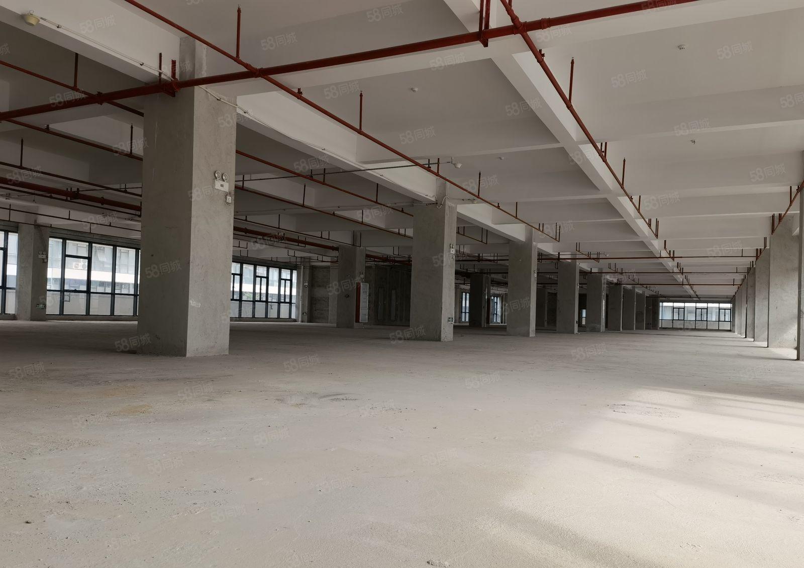 惠州市惠阳区仲恺镇全新标准厂房工业园区独院13800平方米