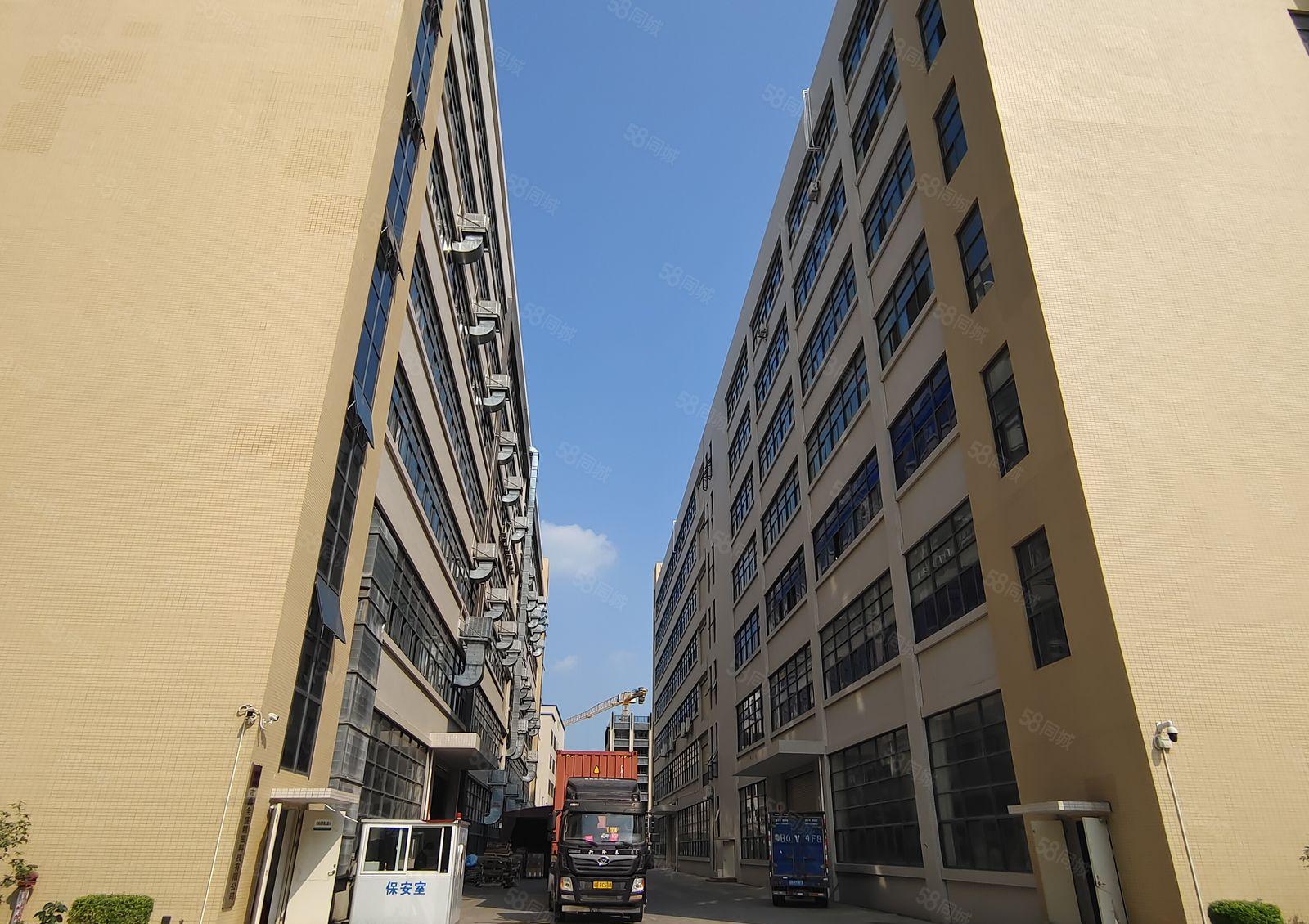 5百8百2千起分租仲恺陈江原房东独院6万平厂房仓库出租带红本