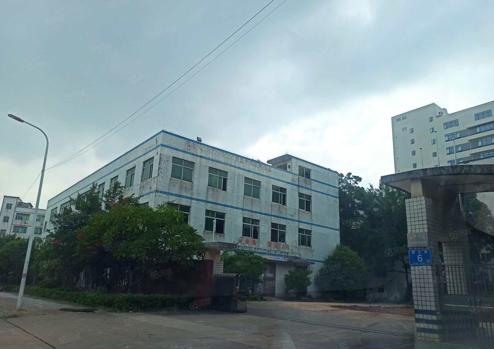 仲恺高新区惠环标准厂房6300平可以分租