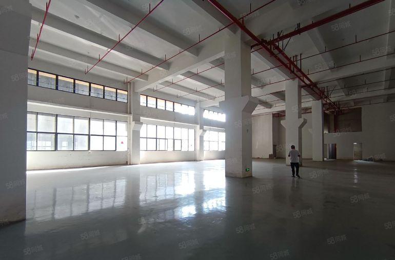 10元一楼厂房出租 1100平方带牛角位层高7米水电已到车间