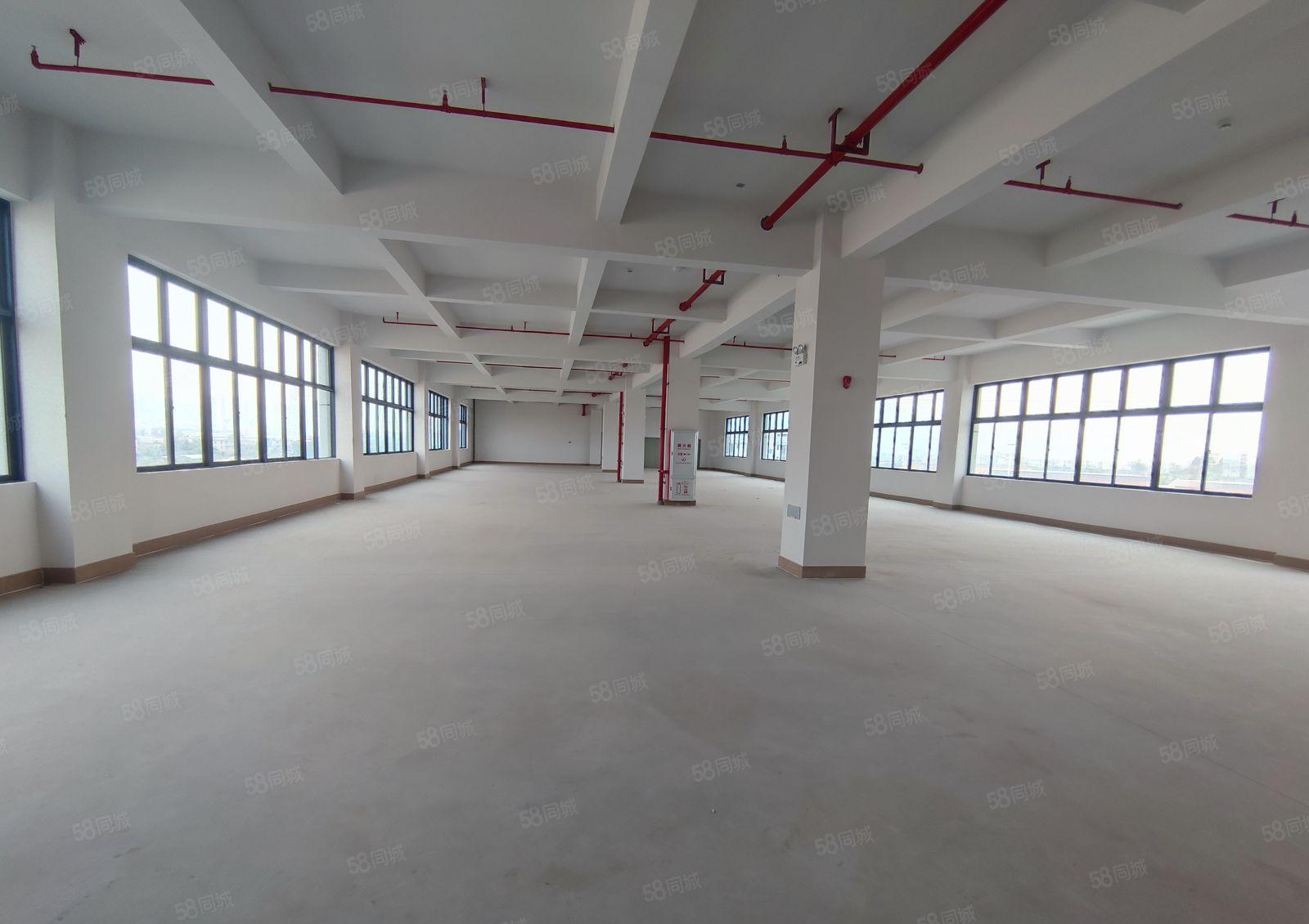 陈江独院厂房招租，证件齐全！可办环评！易招工