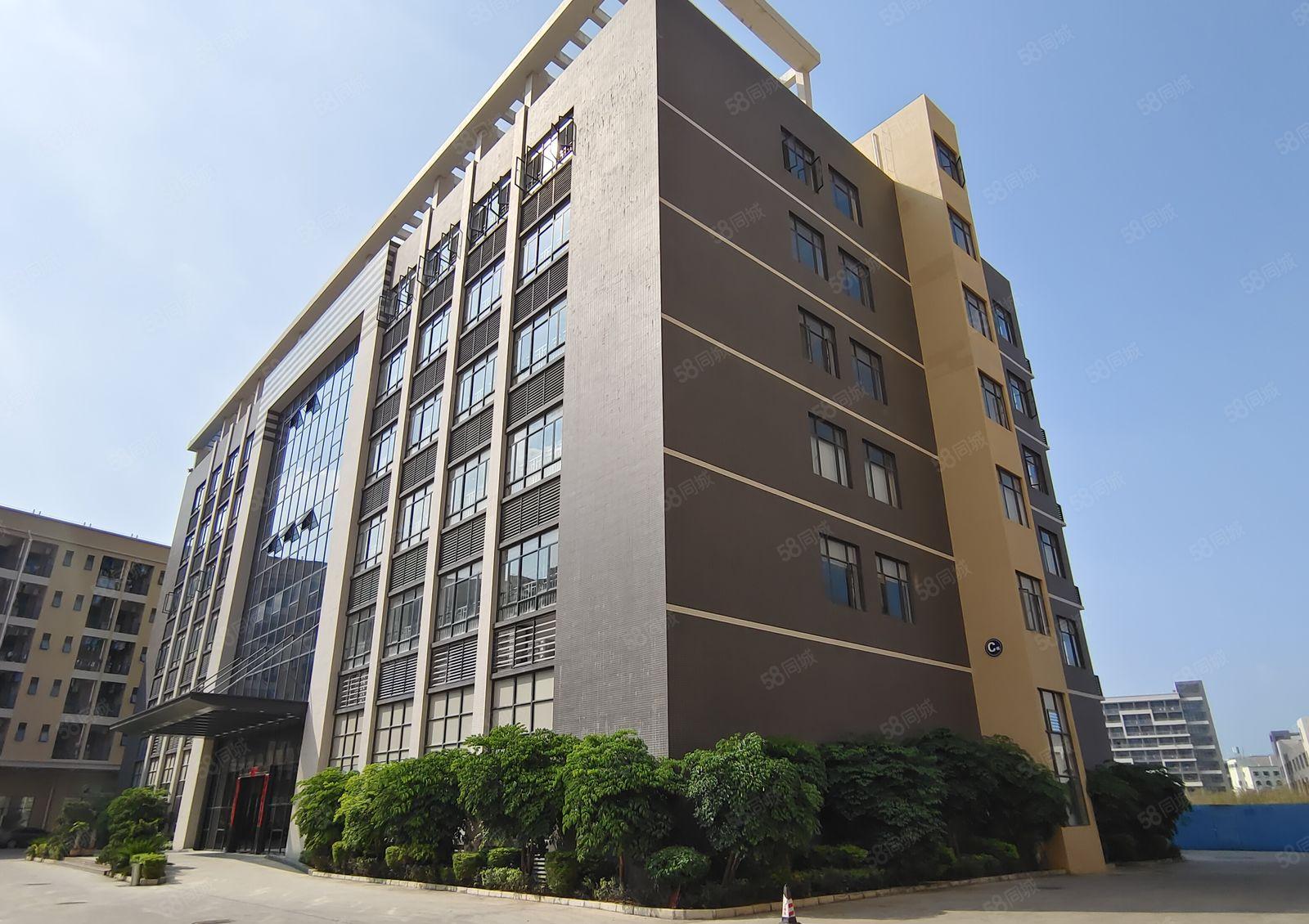 5百8百2千起分租仲恺陈江原房东独院6万平厂房仓库出租带红本