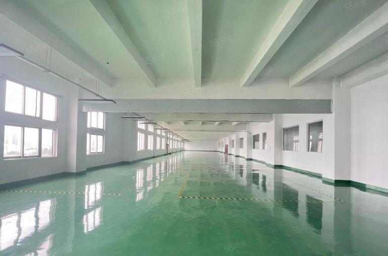 仲恺陈江楼上2000平厂房特价出租带装修现成办公室无须转让费