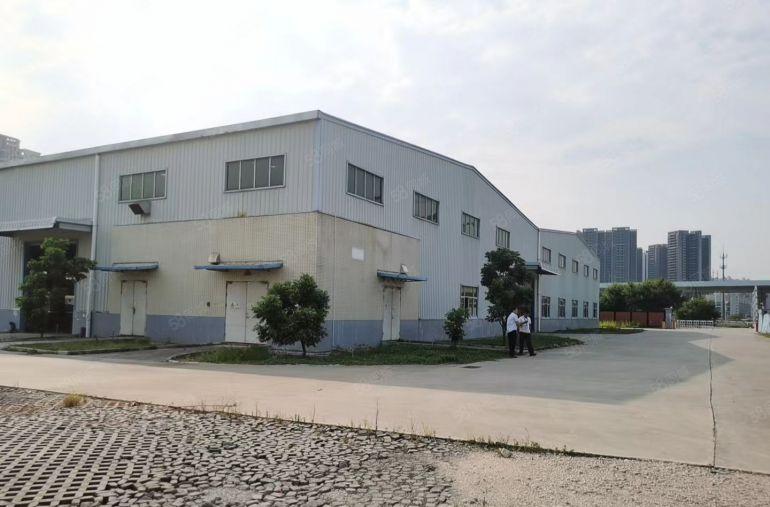 仲恺陈江钢结构厂房仓库5000平低价15块出租，滴水10米。