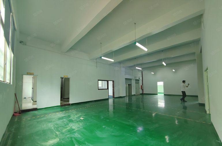 陈江中心地段原房东实际面积出租现成精装修红本厂房低价可环评