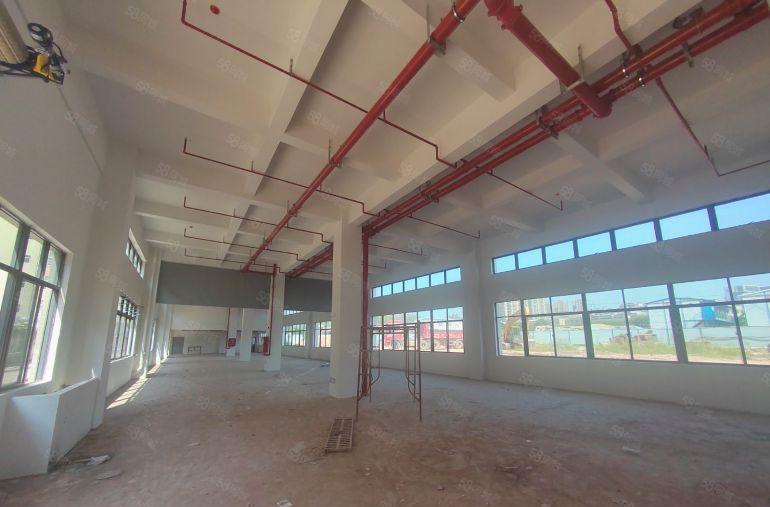 仲恺陈江厂房独院出租齐全原房东仓库整栋可分租