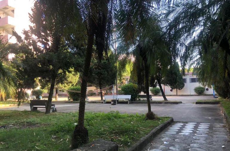 陈江红本工业厂房16000平方，滴水12米，带卸货平台