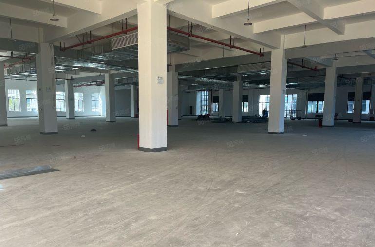 惠州仲恺高新区独院厂房12000平方米有高新补贴