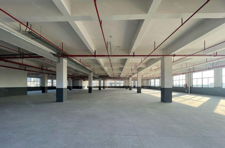 特价10元陈江全新厂 1800平方实际面积出租红本便宜