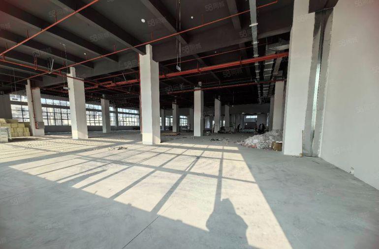 陈江五一工业区原房东一楼标准厂房2000平低价出租